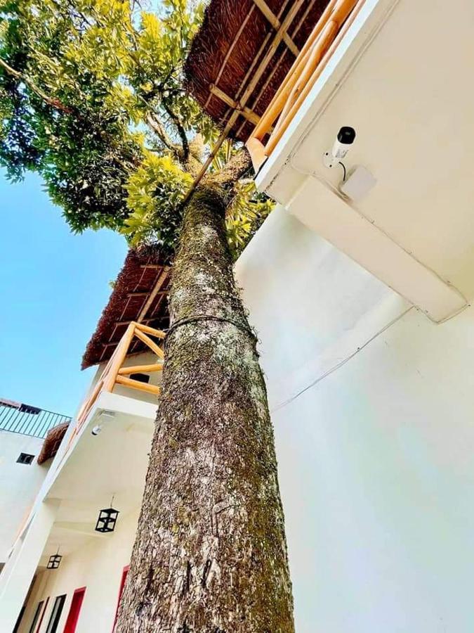 Hotel Sierra Linda Xilitla Dış mekan fotoğraf